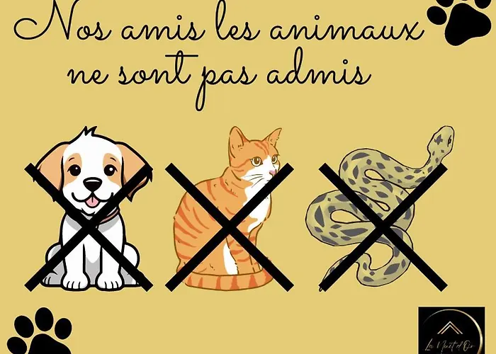 公寓 Le Carre Du Mouchoir - Authentique Et Fonctionnel *